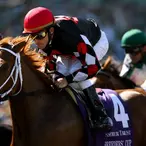 Ramon Dominguez Net Worth